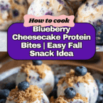 Blueberry Cheesecake Protein Bites Protein Snack Recipe