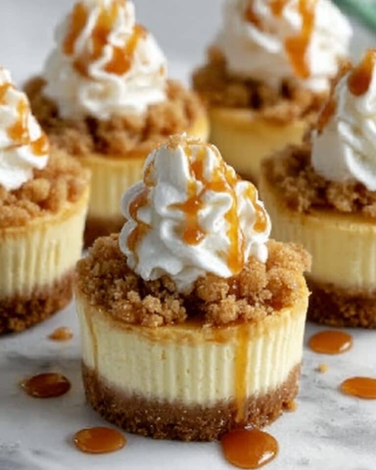 Apple Crisp Mini Cheesecakes Recipe